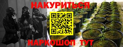 марки lsd Тара