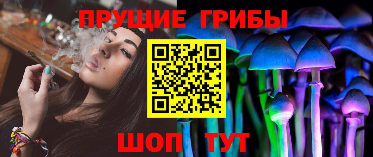 Волгодонск  купить закладку  Вход с VPN  Галлюциногенные грибы Magic Shrooms 